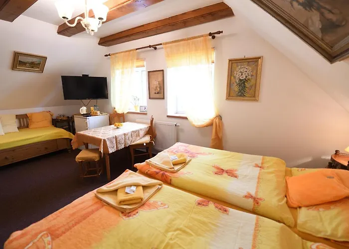 V Chaloupce Penzion 4*